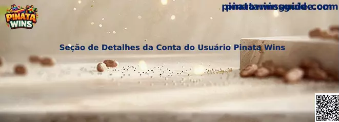 Seção de Detalhes da Conta do Usuário Pinata Wins